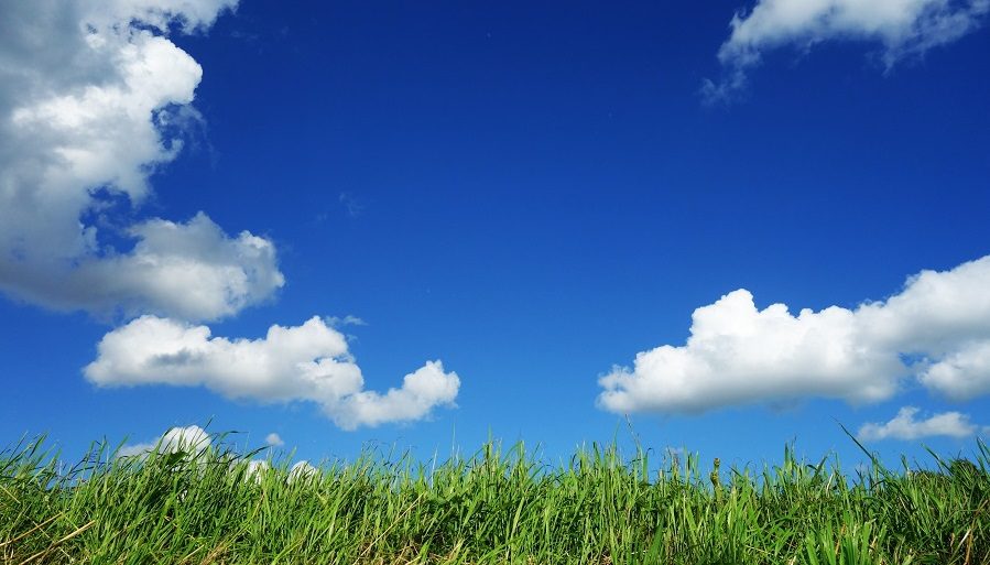 明日死ぬと思って生きなさい 永遠に生きると思って学びなさい ガンジー名言 100メガ